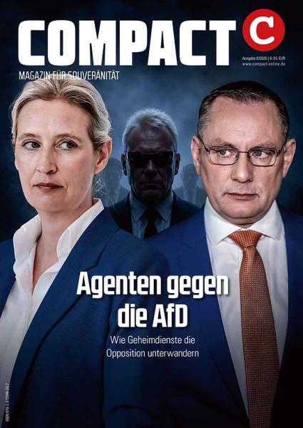 Agenten gegen die AfD